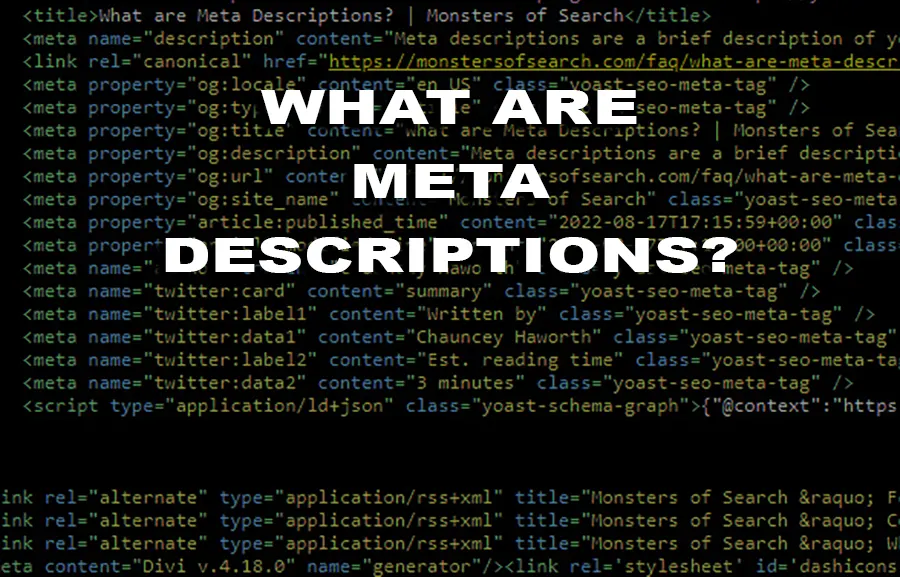 What are Meta Descriptions